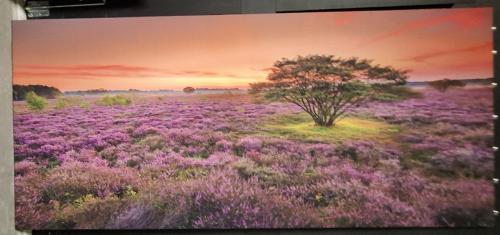 Canvas schilderij 90x200