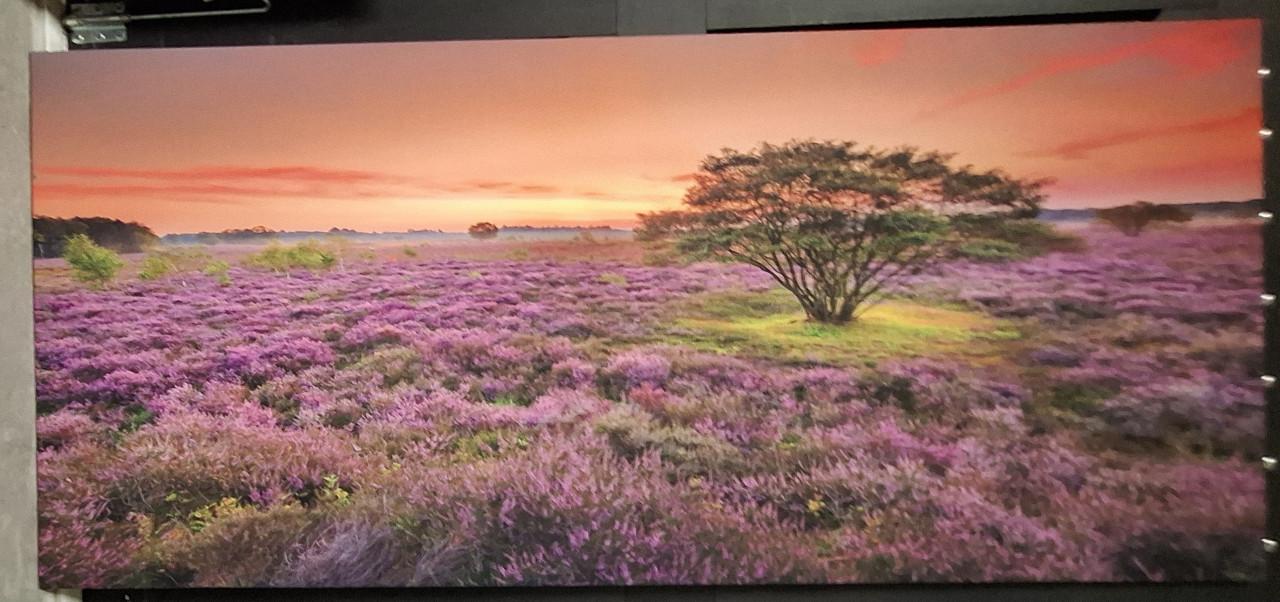 Canvas schilderij 90x200