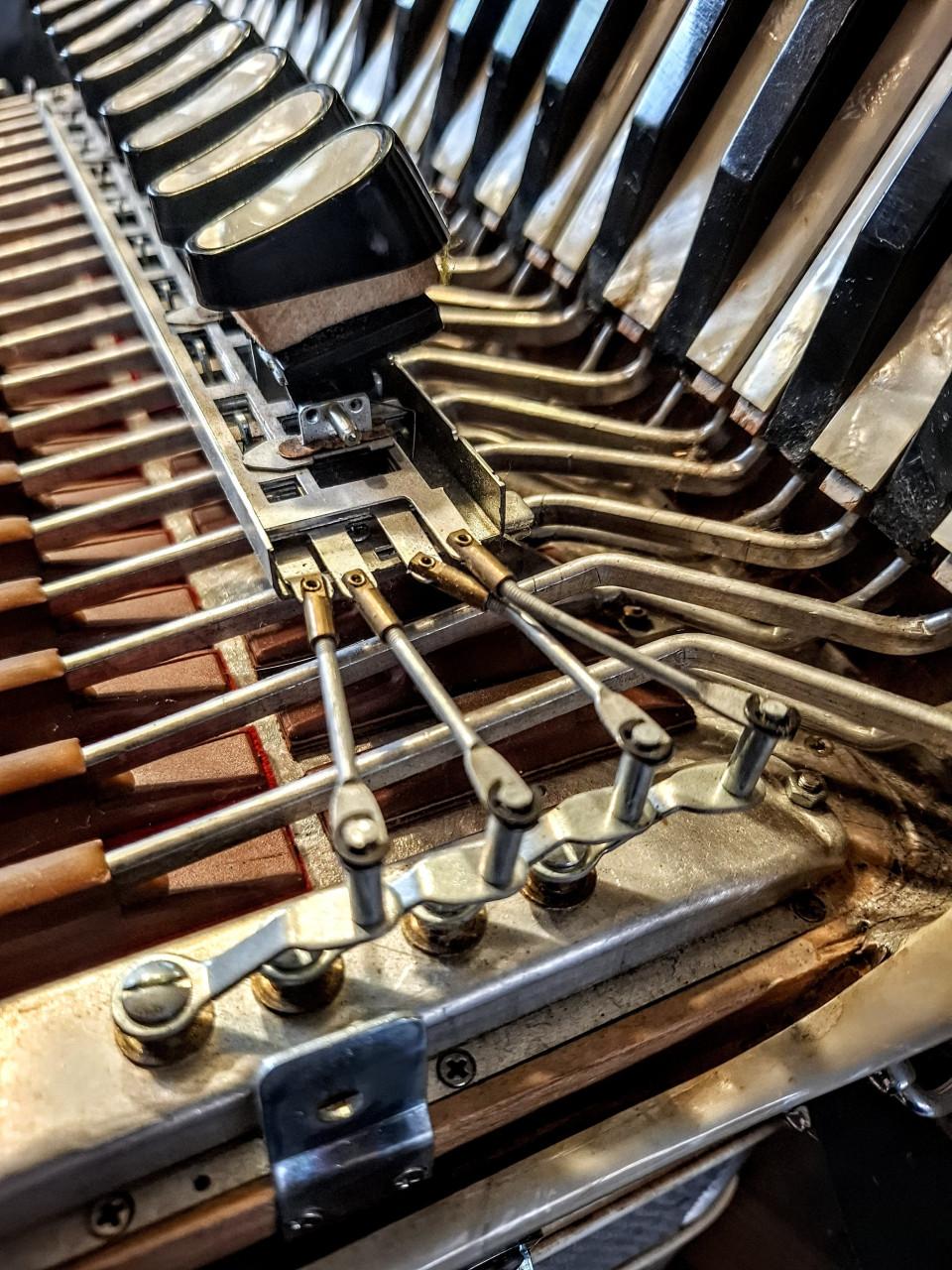 Avcordeon EXCELSIOR LADY 96 bas