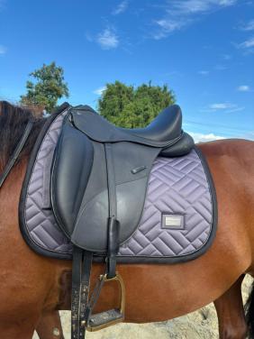 Norton 16,5 inch dressuur zadel