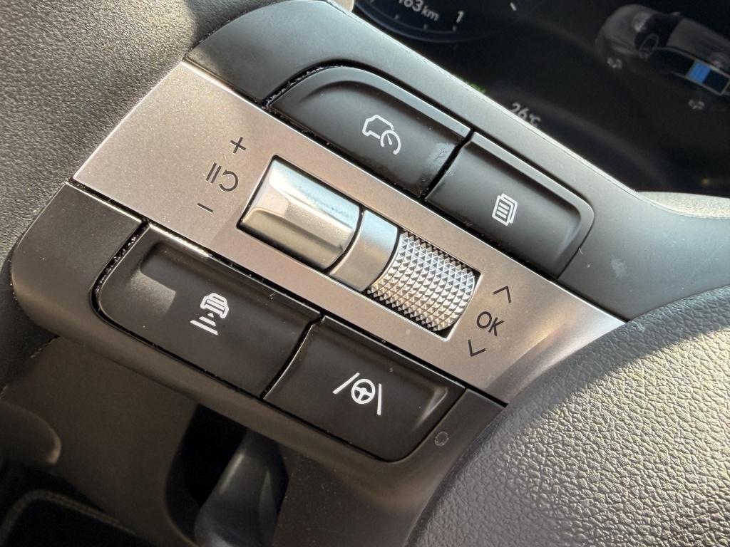Hyundai Tucson 1.6 t-gdi hev premium | full options | navi | elek.koffer | 