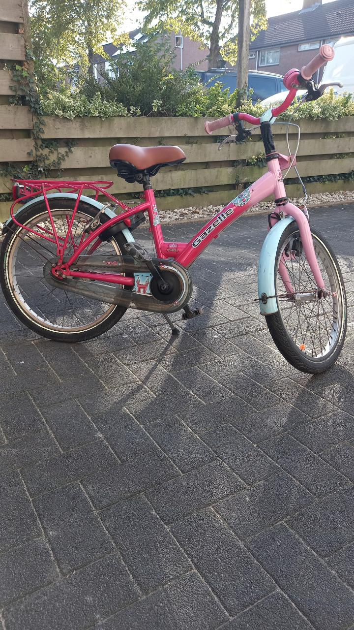 Meisjesfiets 20 inch
