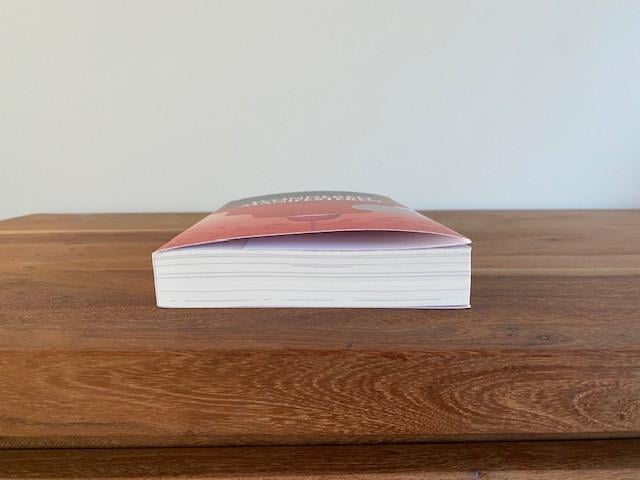 Nieuw | Wonderen manifesteren | Willemijn Welten