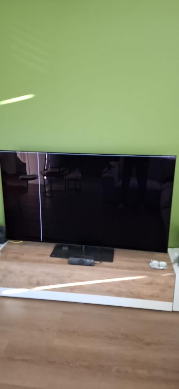 DEFECT Philips 65OLED 808 (2023)