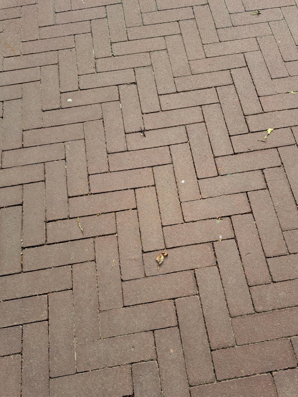 Gratis af te halen 105 stuks rode stenen van 6,5 x 20,5 cm