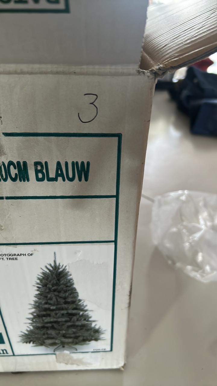 Kerstboom Romagne Intratuin