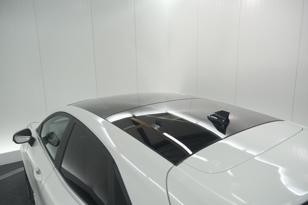Ford Puma 1.0 ecoboost st-line x vignale | trekhaak | panoramadak | leer | 