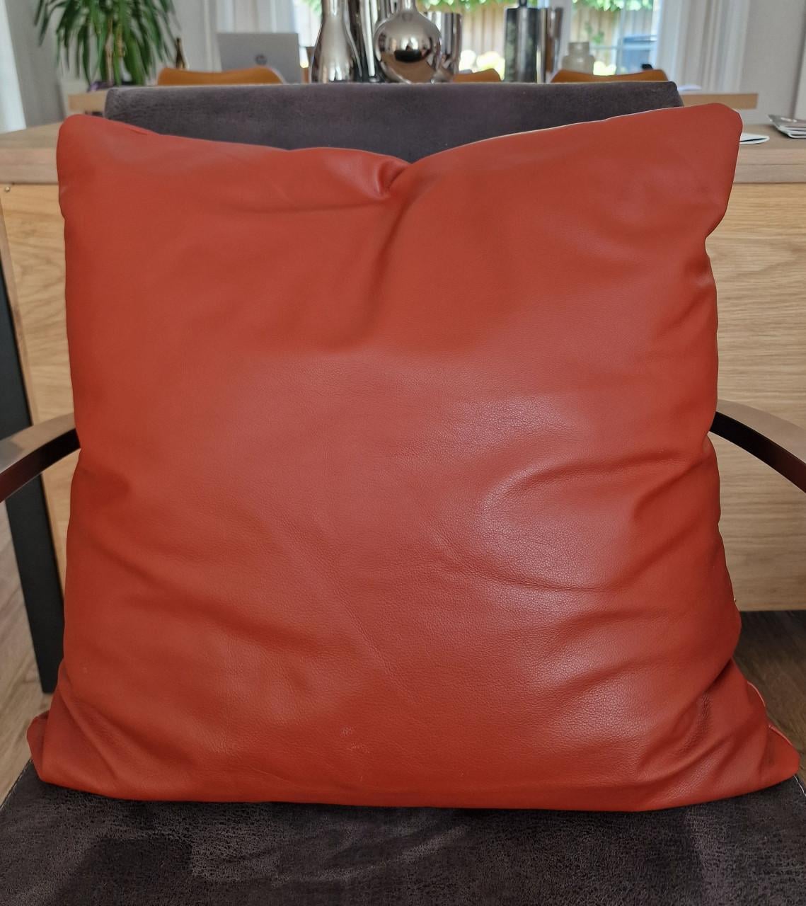 2 mooie grote oranje/rode lederen kussens