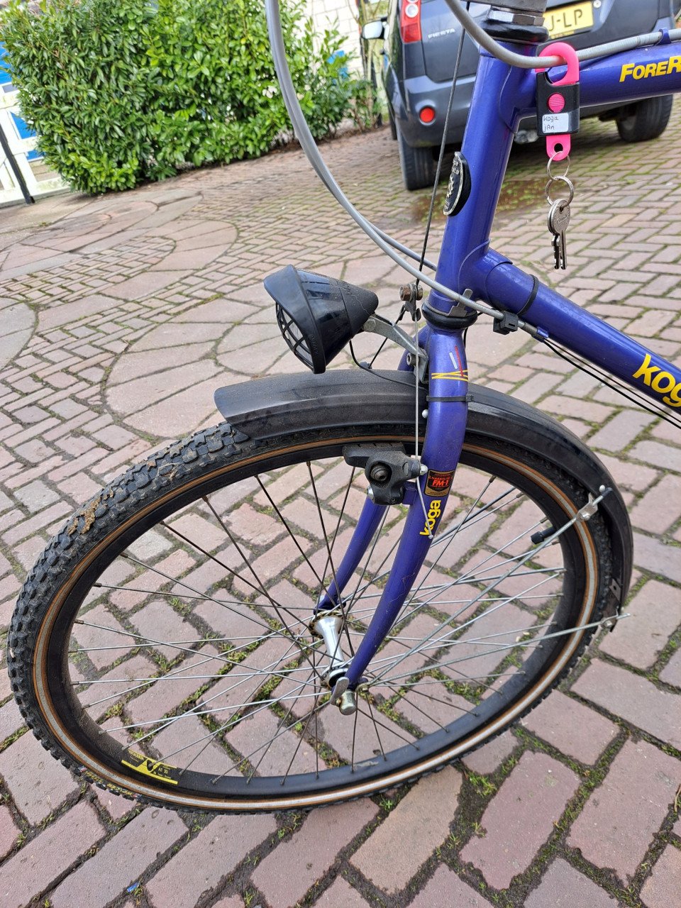 KOGA MYATA HERENFIETS