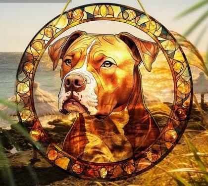 Raamhanger Pitbull