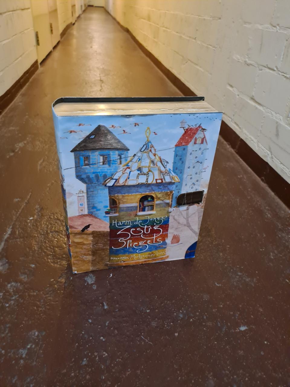 Surprise sinterklaas groot boek