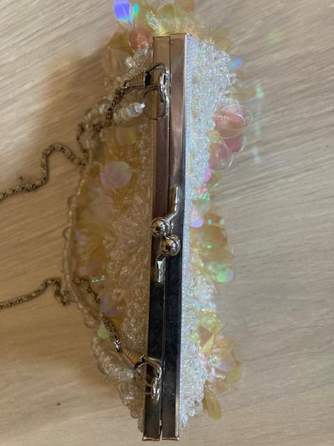 Bijzonder Soiree-tasje