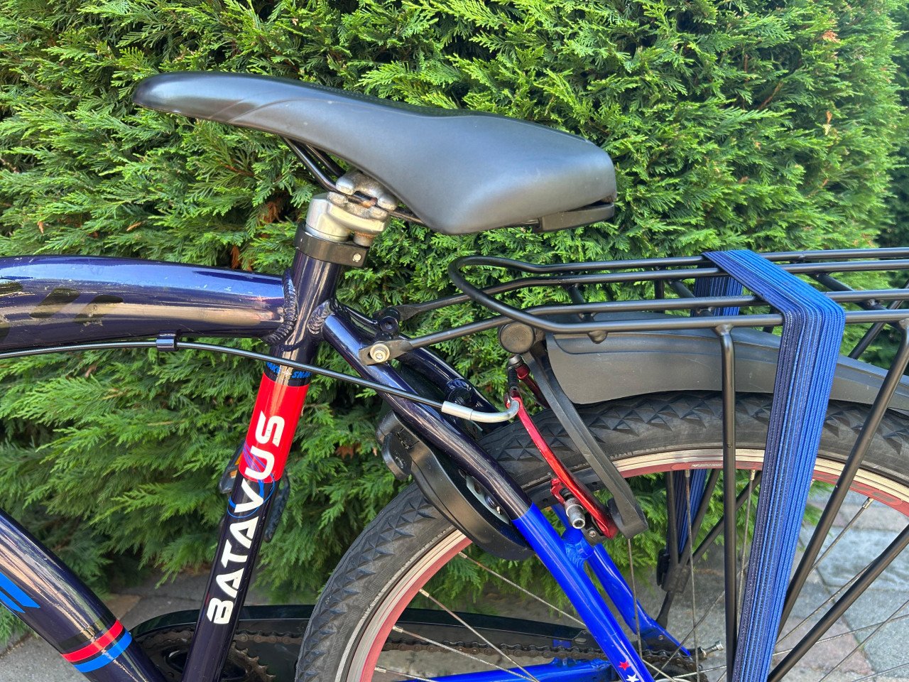 Batavus snake 26inch