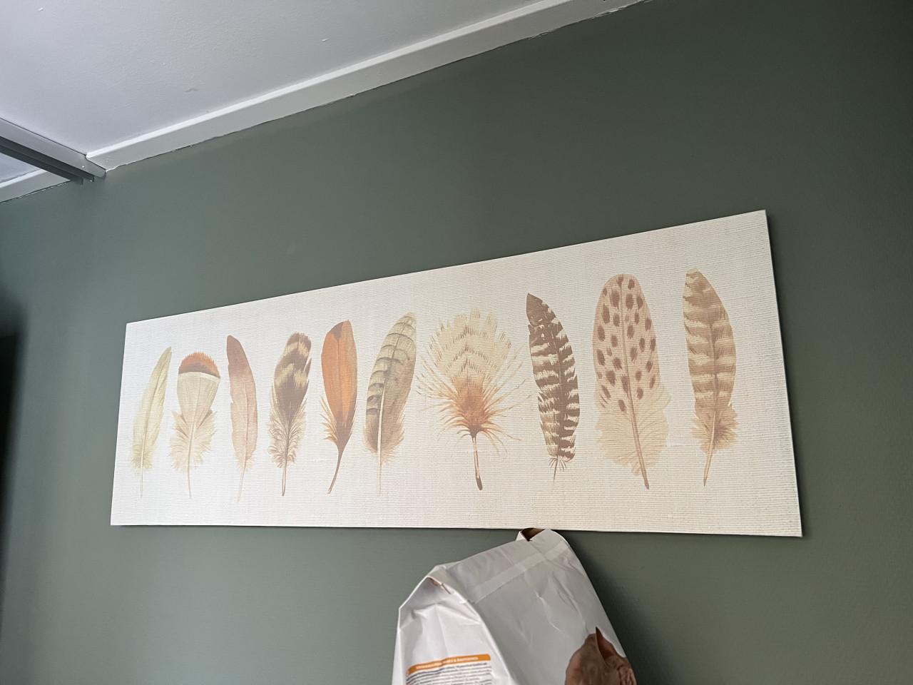 Gratis af te halen, schilderij