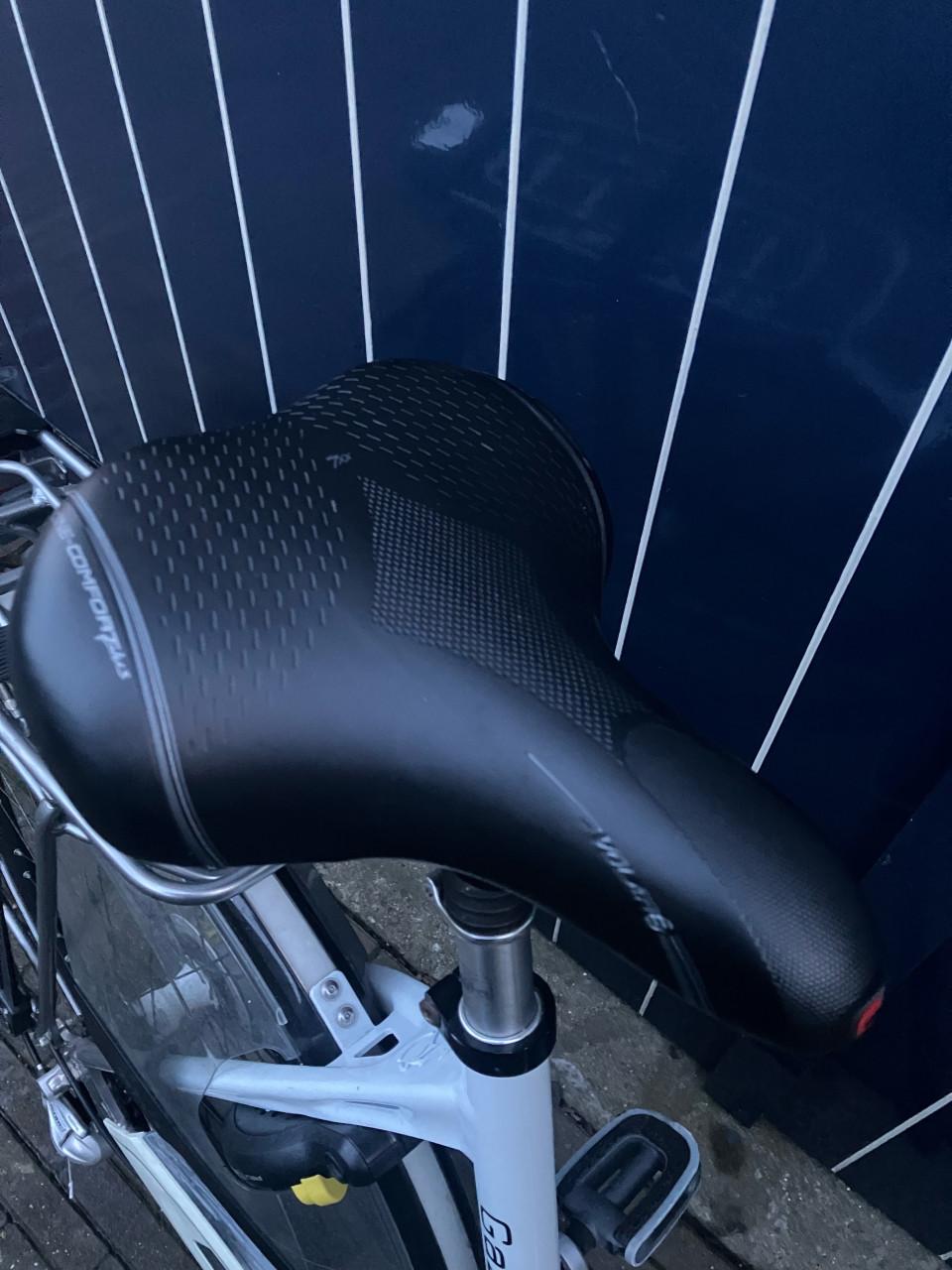 Gazelle Allure in zeer goede staat.