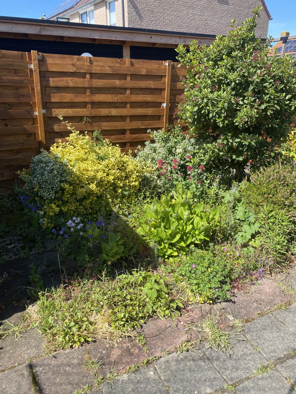 Tuinonderhoud