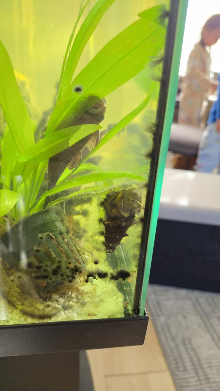 Aquarium