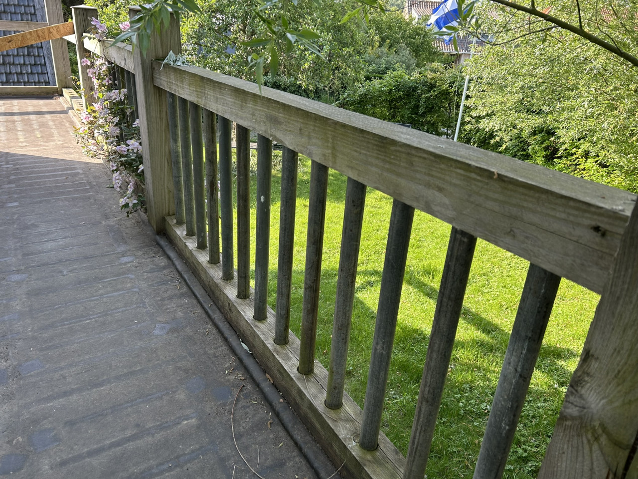 Steigerbuizen