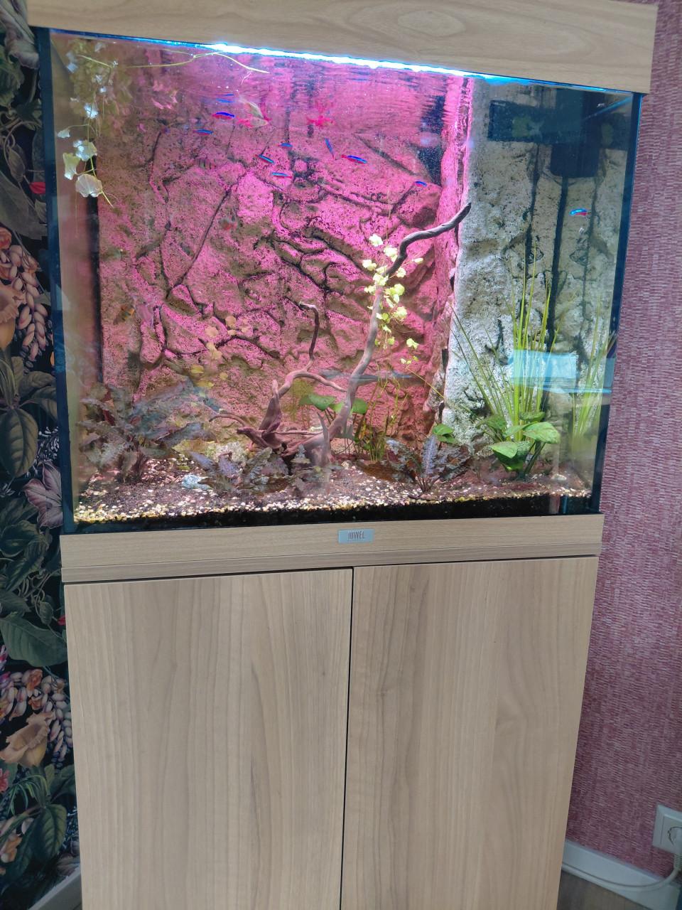 Juwel aquarium compleet
