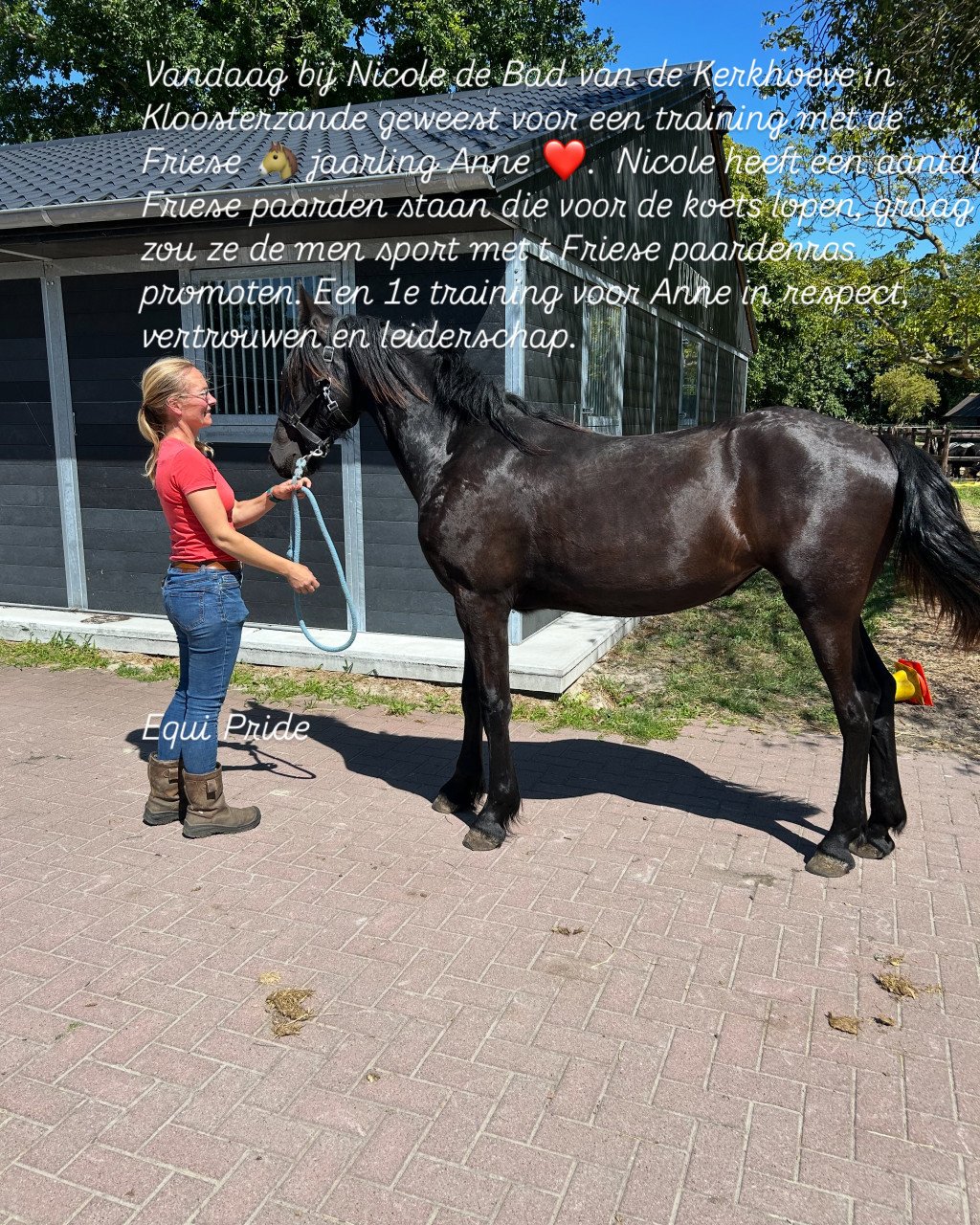 # Equi Pride # Gedrag, Grondwerk, Rijden, Natural Horsemanship etc.
