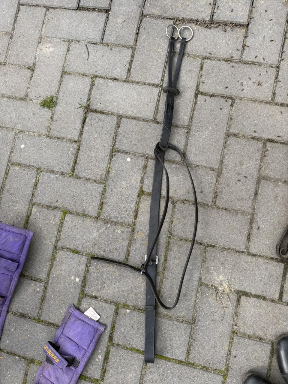 2x enkelspan ponytuig + enkel en tweespan paardentuig
