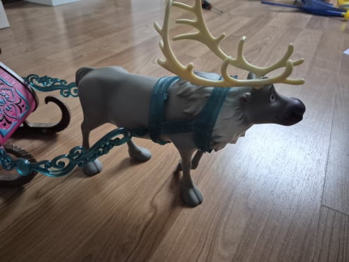 Frozen koets met rendier
