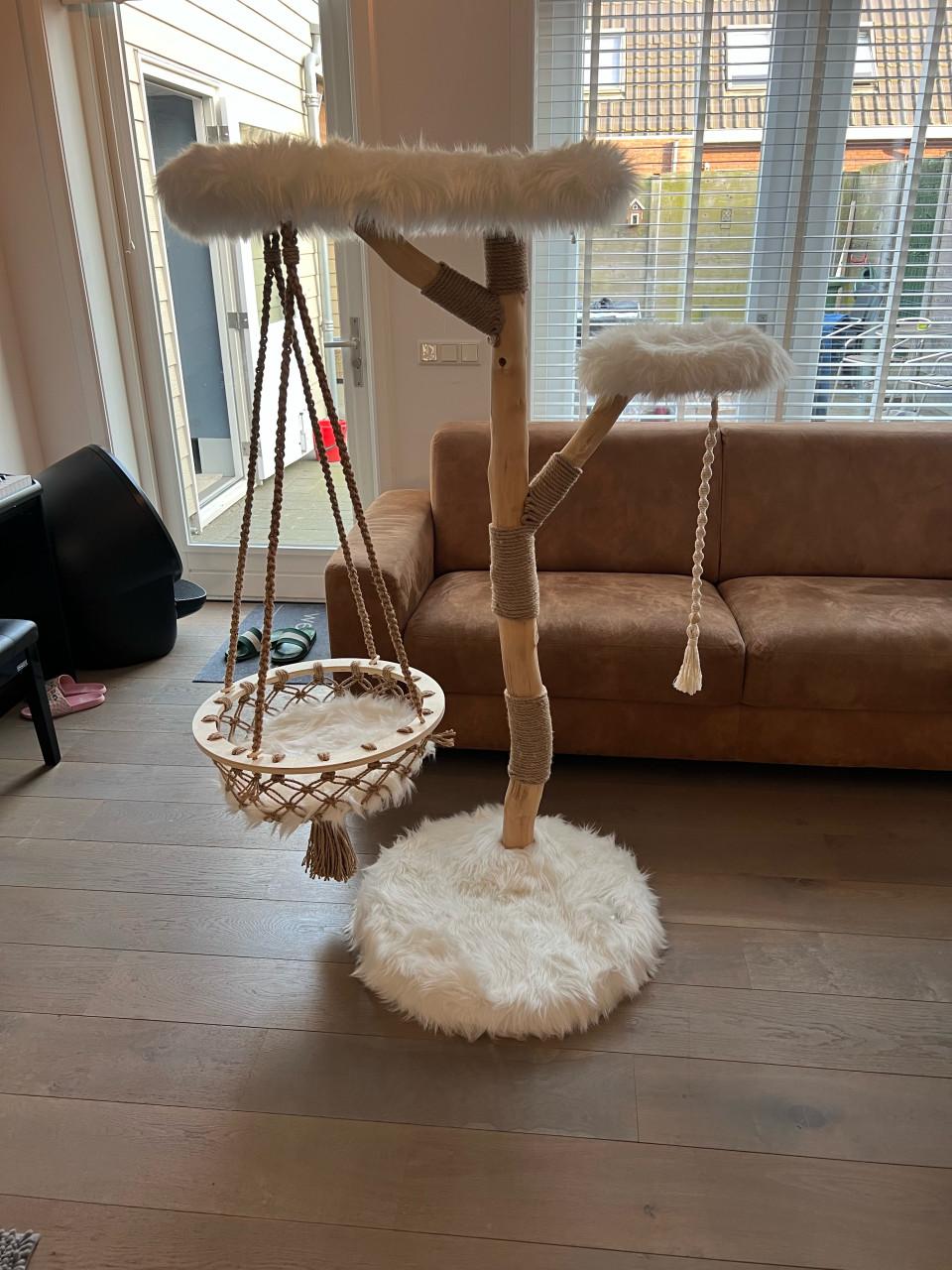 Prachtige boony krabpaal/boom