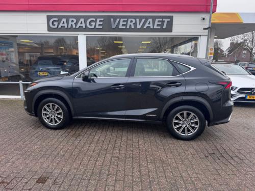 Lexus Nx 300h awd business line