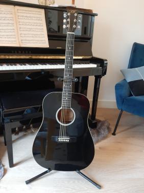 Gitaar met standaard en hoes