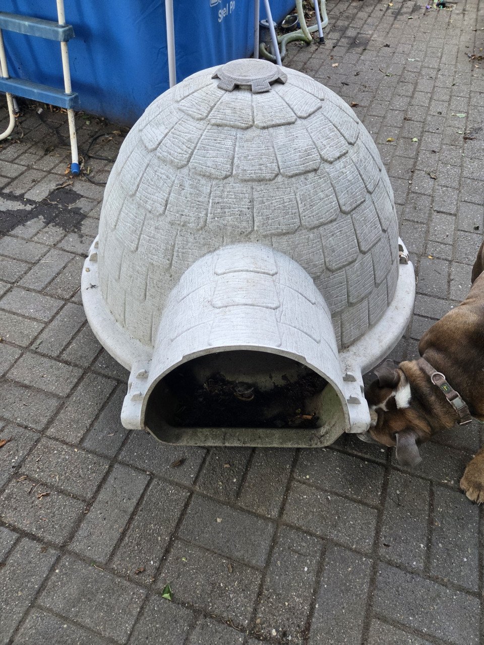 Honden hok