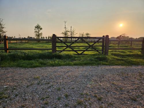 Weidegang voor 2 pony's Borssele