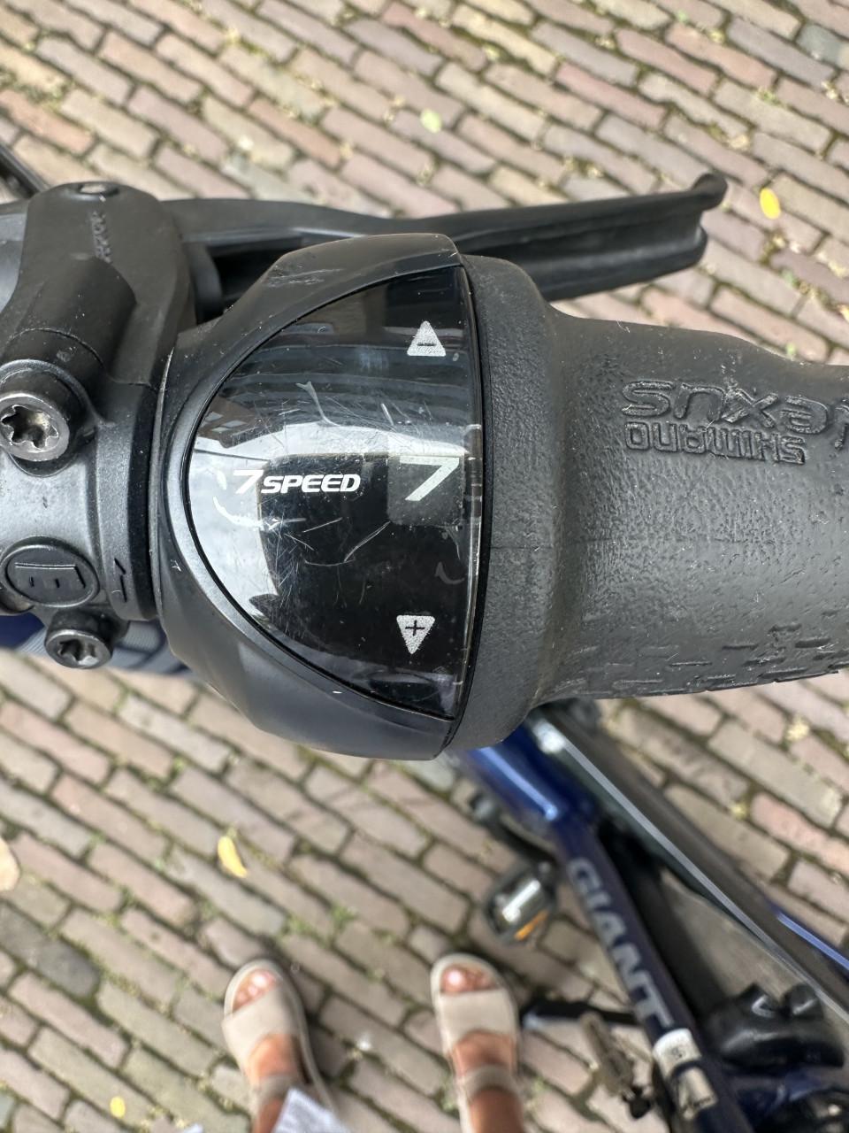E bike Giant