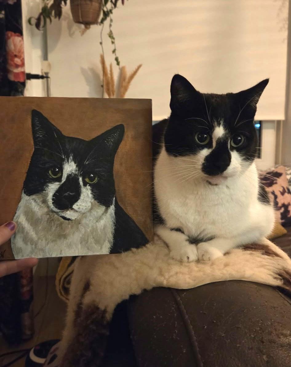 Prachtige dierportretten, voor jezelf of als cadeau