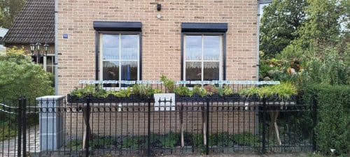 Vaste,-bijen,-en vlinderplanten : opgefrist en klaar voor een nieuwe start!