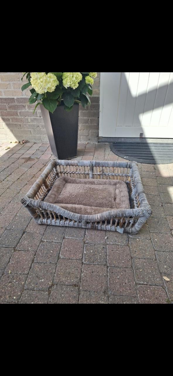 Rieten hond/kattenmand met kussen