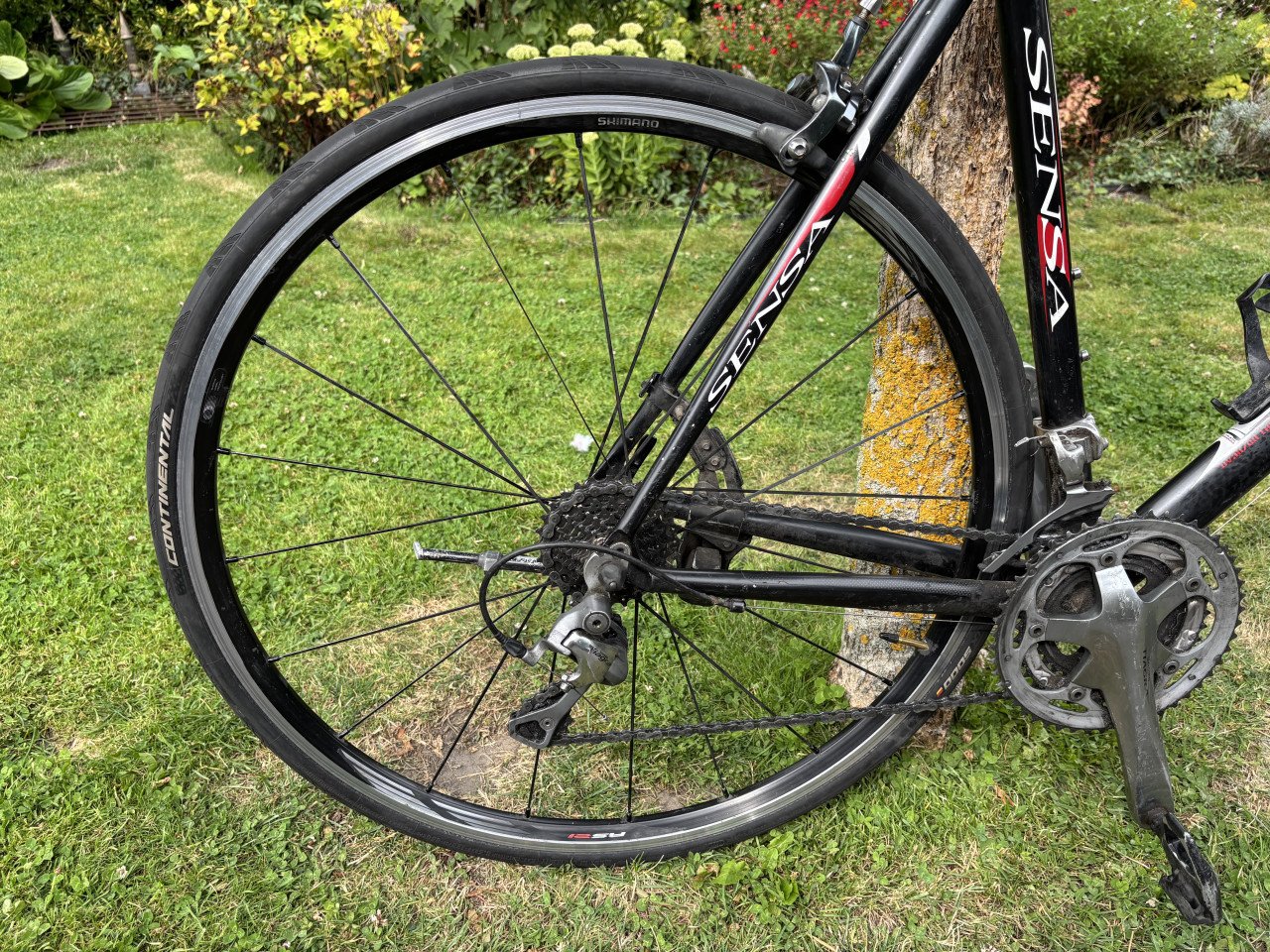 Sensa Umbria Tiagra - Racefiets