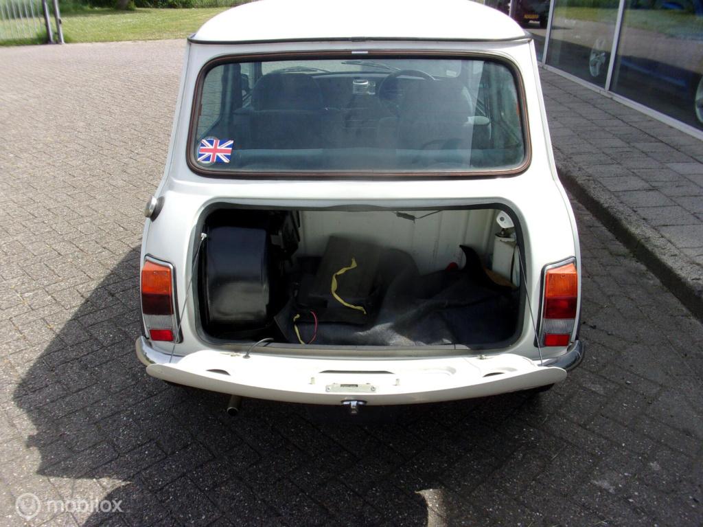 Mini Mini rover 1.3mayfair