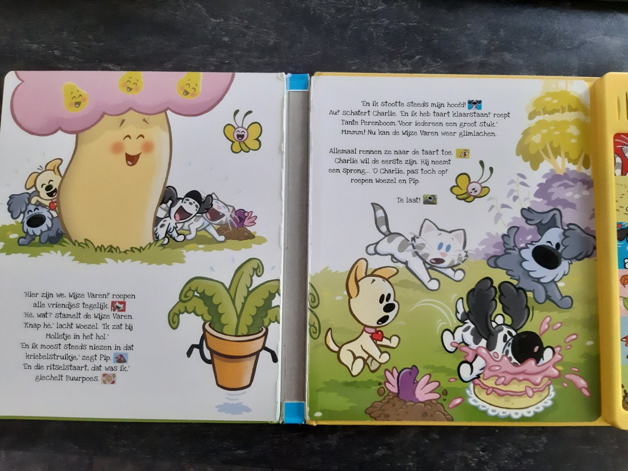 Boek Woezel en Pip verstoppertje