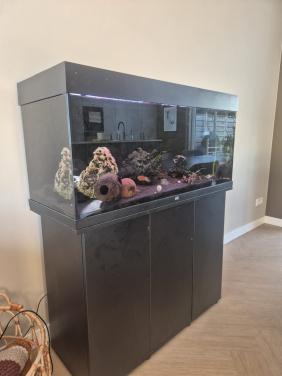 Te koop: Juwel aquarium met onderkast, vissen en verlichting
