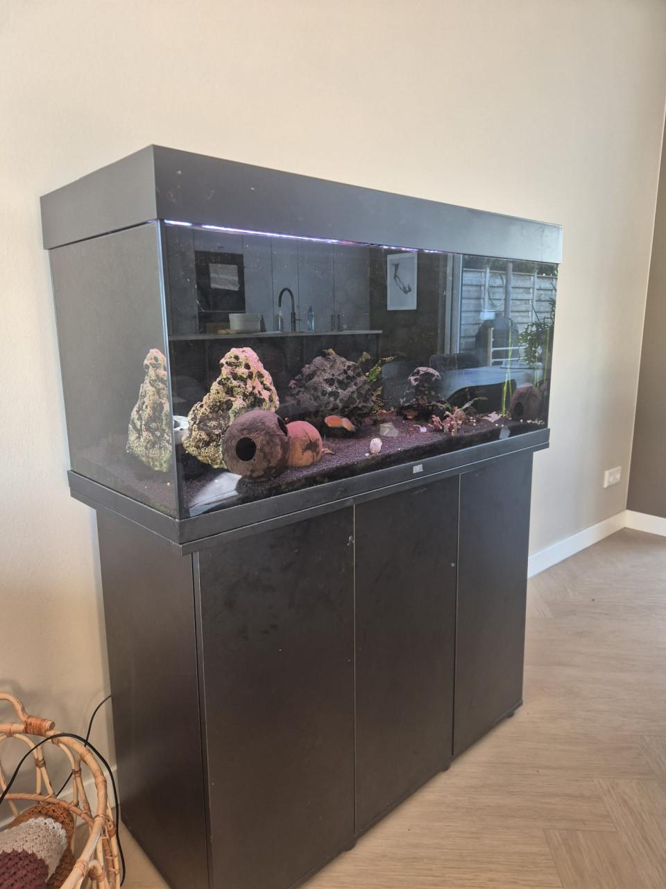 Te koop: Juwel aquarium met onderkast, vissen en verlichting