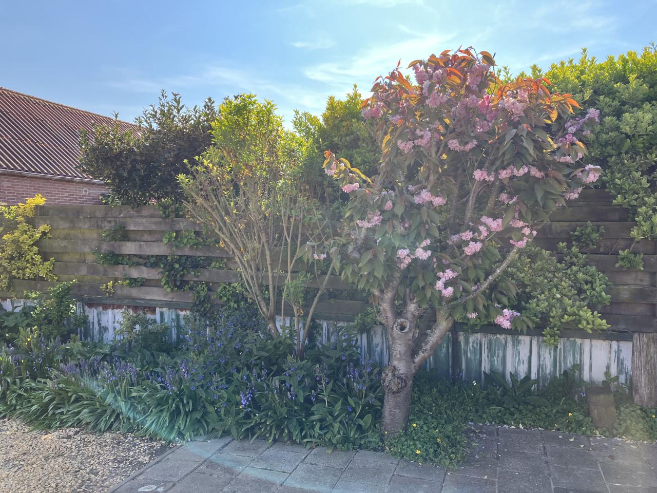 Woning in Westkapelle te huur