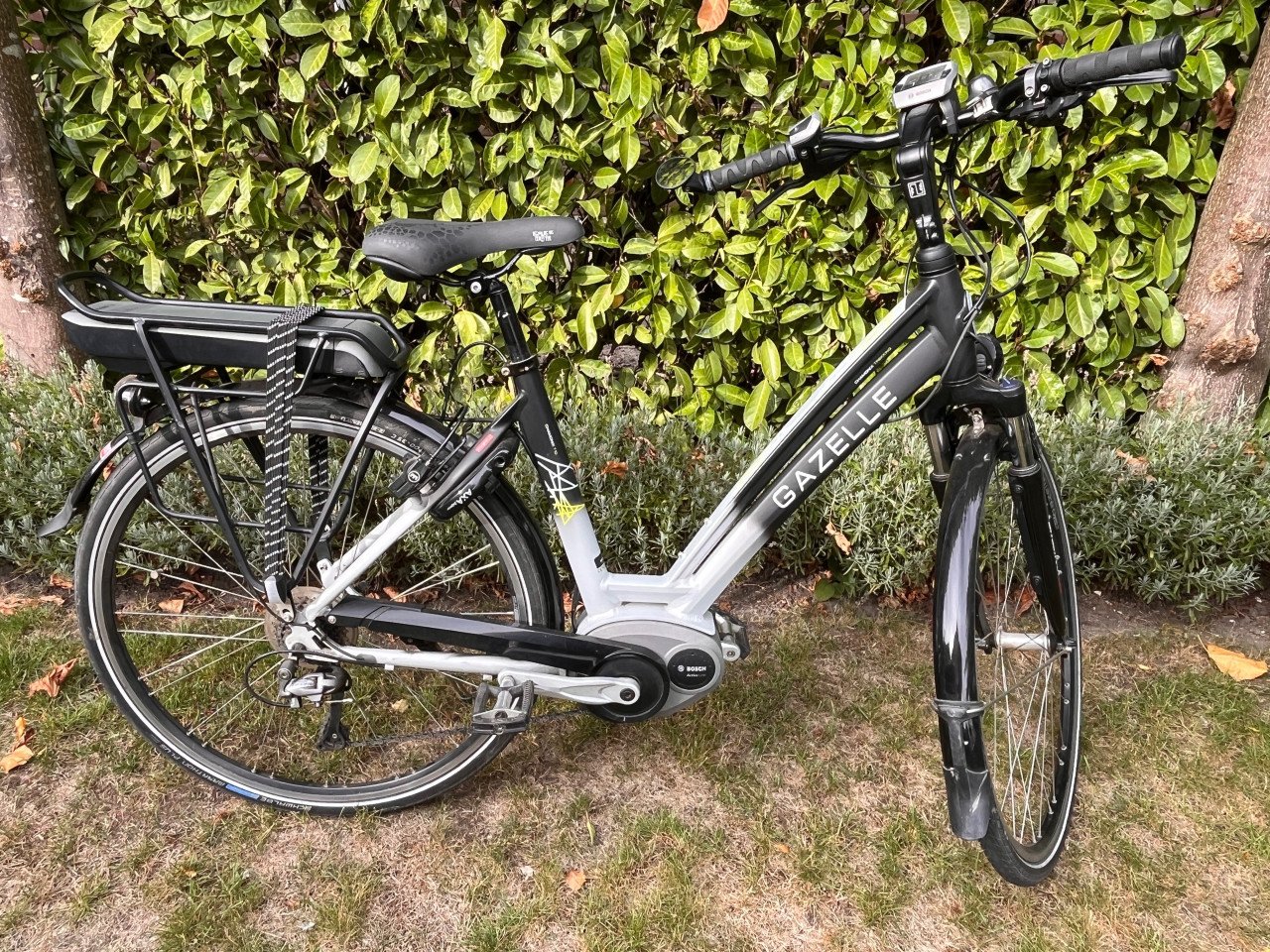 Gazelle Chamonix elektrische damesfiets D49