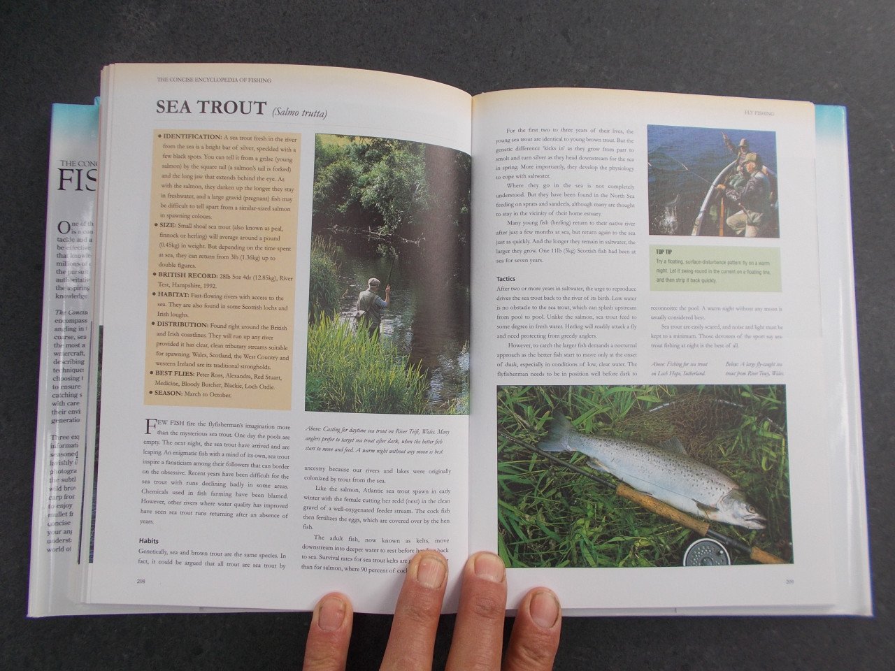 FISHING : Zee-, ZOET-VLIEGVISSEN  . 256 pagina's