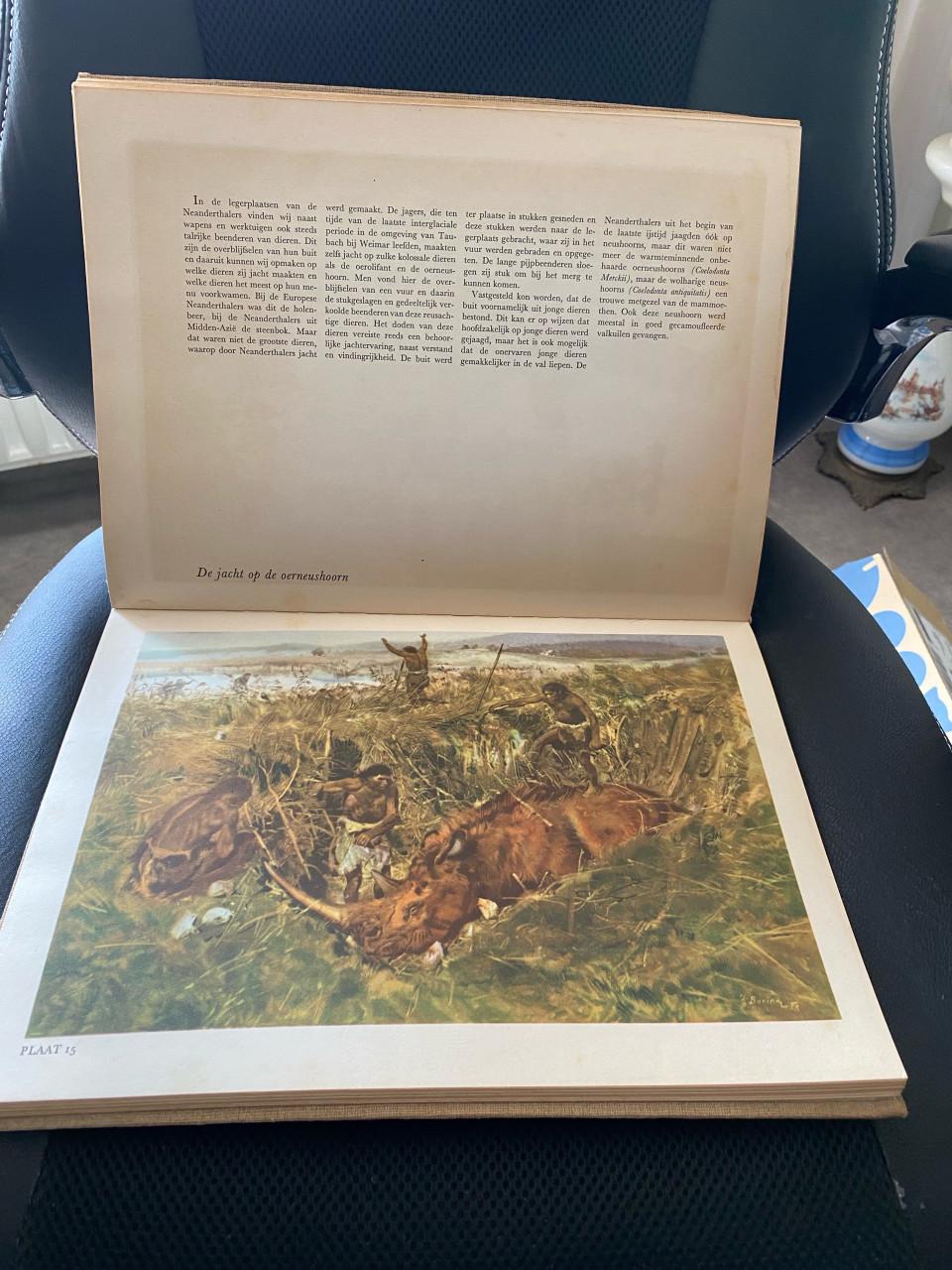 Boek uit de oertijd