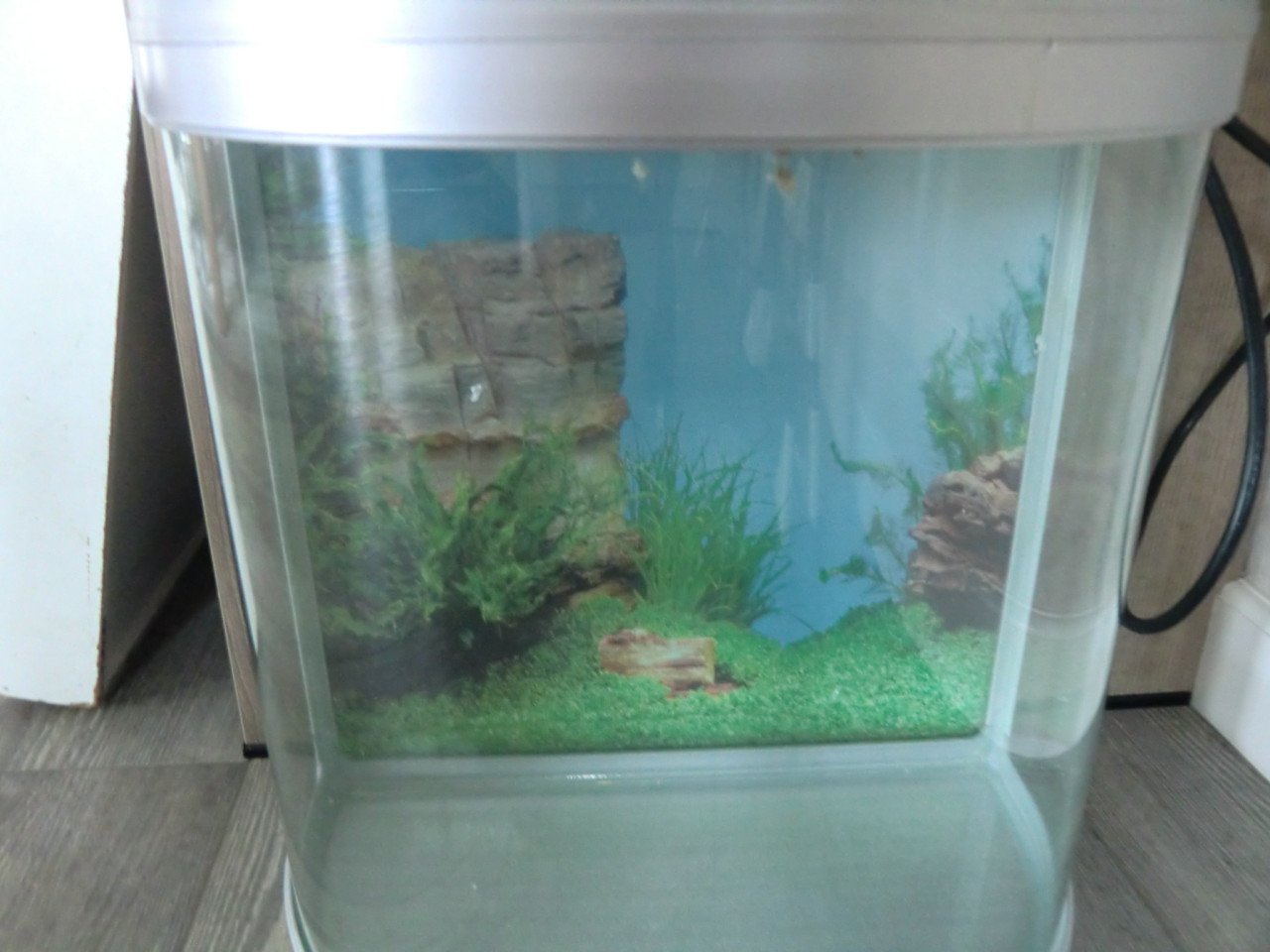 Aquarium aqua one half rond
