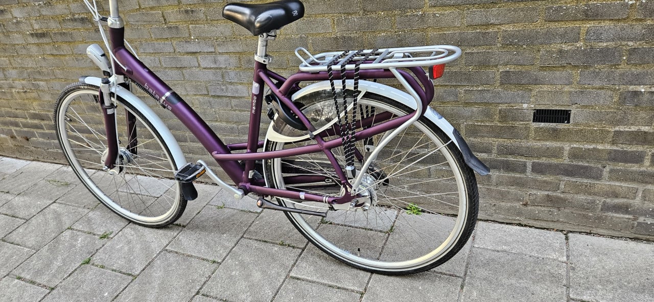 Batavus damesfiets unieke kleur