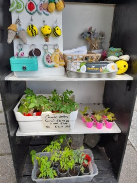 Tomatenplantjes