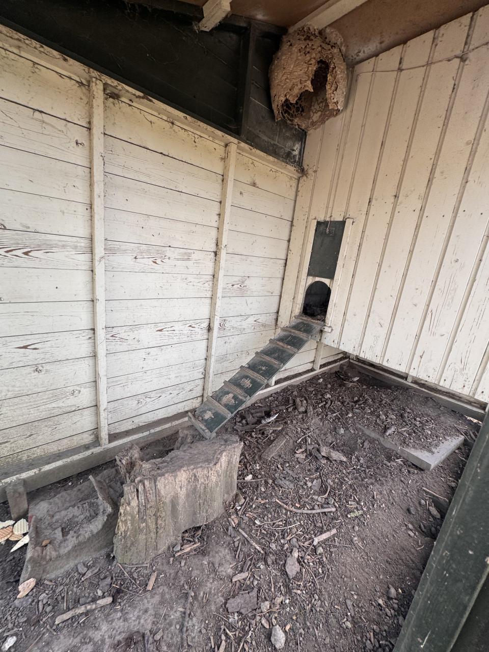 2 legkippen incl. hok