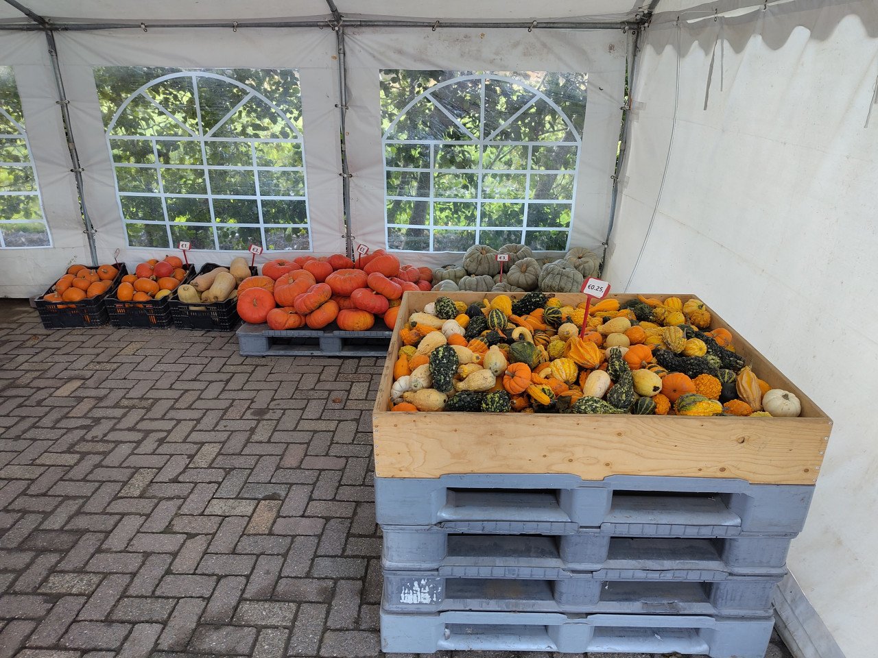 Pompoenen en kalebassen