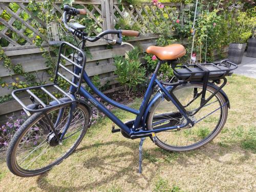 Elektrische fiets dames